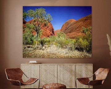 Ronde, rode rotsen van de Kata Tjuta, Australie van Rietje Bulthuis