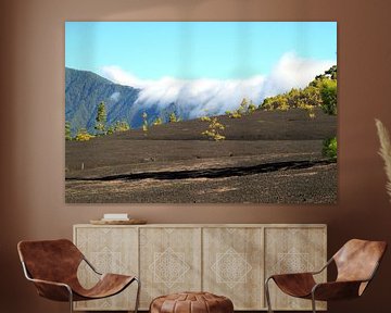 National Park Caldera de Taburiente in La Palma van Jolanta Mayerberg