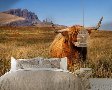 Highland-Cattle vor Old Man of Storr von Daniela Beyer