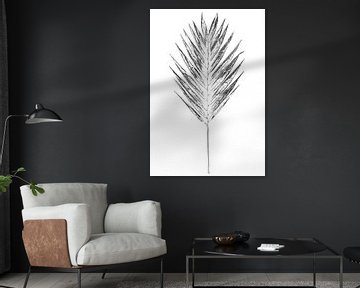 Monoprint Mexican dwarf palm by Jasmin Hilhorst