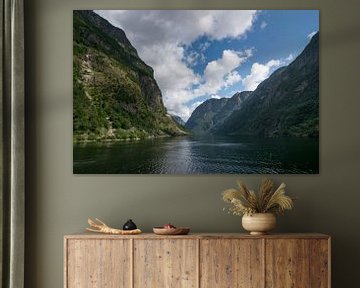 UNESCO Naeroyfjord in Norway by Patrick Verhoef