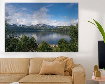 Magnifique lac de montagne avec une nature fantastique en Norvège