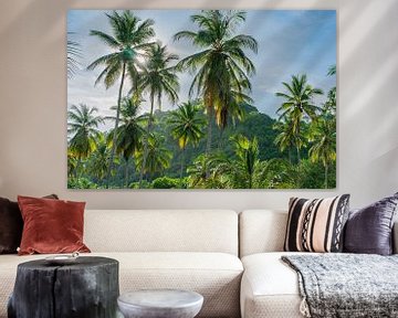Torenhoge palmbomen bedekken het jungle zonlicht van FlashFwd Media