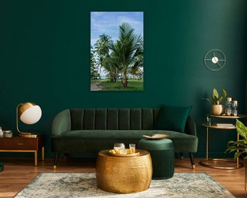 De gigantesques palmiers couvrent le soleil de la jungle. sur FlashFwd Media
