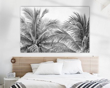 Black and white | Palm by Femke Ketelaar