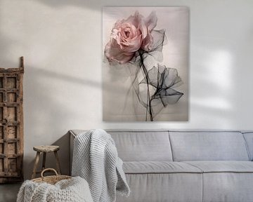 Whispers of Rose - Eine Hommage an die florale Anmut - Wandkunst von Murti Jung
