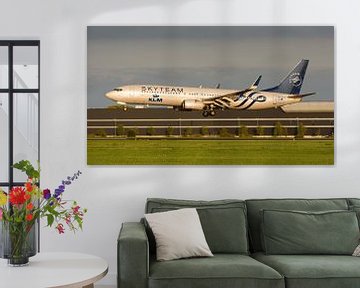 klm boeing 737 Skyteam-Lackierung von Arthur Bruinen