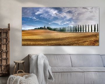 Zonnig Toscaans landschap met cipressenpad van Voss Fine Art Fotografie