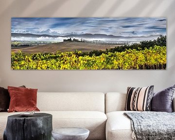 Tuscany landscape panorama with vineyard