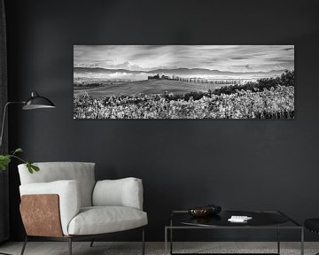 Toscaans landschap met wijngaard in zwart-wit van Manfred Voss, Schwarz-weiss Fotografie