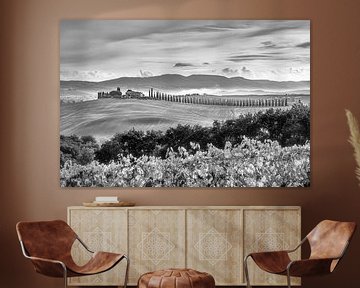 Paysage toscan avec chemin de cyprès en noir et blanc sur Manfred Voss, Schwarz-weiss Fotografie