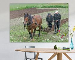 Raumvorschau