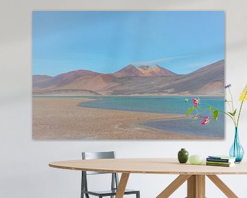 Pastel kleurig landschap en zoutmeer  'schilderij' van FlashFwd Media
