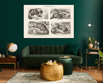 Antique engraving Marters I by Studio Wunderkammer