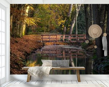 Houten brug over sloot in het Bergerbos tijdens een kleurrijke herfst van Bram Lubbers