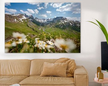 herrlicher blumiger Blick in den Lechtaler Alpen bei Zürs