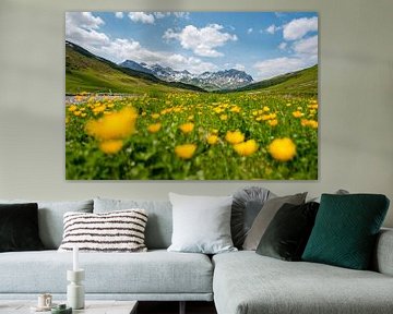 herrlicher blumiger Blick in den Lechtaler Alpen bei Zürs auf dem Weg zur Stuttgarter Hütte von Leo Schindzielorz