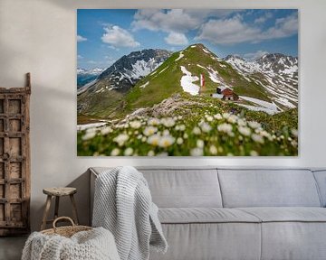 magnifique vue fleurie dans les Alpes du Lechtal près de Zürs sur le chemin du refuge Stuttgarter Hütte sur Leo Schindzielorz