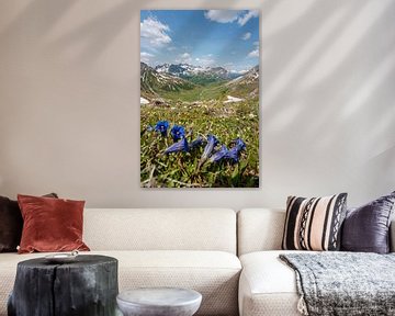 herrlicher blumiger Blick in den Lechtaler Alpen bei Zürs auf dem Weg zur Stuttgarter Hütte von Leo Schindzielorz