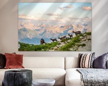 Groupe de chamois dans les montagnes du Tyrol sur Leo Schindzielorz
