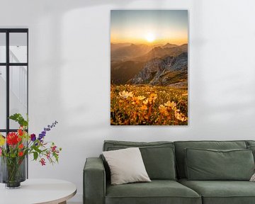 flowery view of the Tannheim & Allgäu Alps at sunset by Leo Schindzielorz