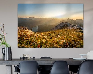 flowery view of the Tannheim & Allgäu Alps at sunset by Leo Schindzielorz