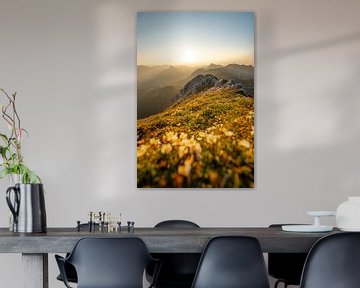 bloemrijk uitzicht op de Tannheim & Allgäuer Alpen bij zonsondergang van Leo Schindzielorz