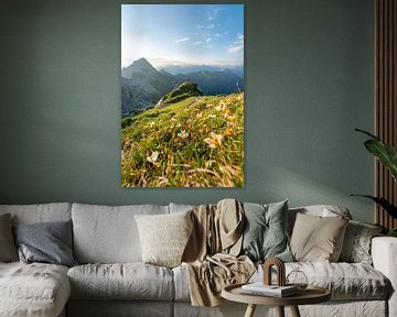 Vue fleurie sur les montagnes du Tyrol et de Tannheim sur Leo Schindzielorz