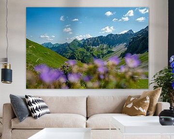 Vue fleurie sur le Hochvogel et les Alpes d'Allgäu sur Leo Schindzielorz