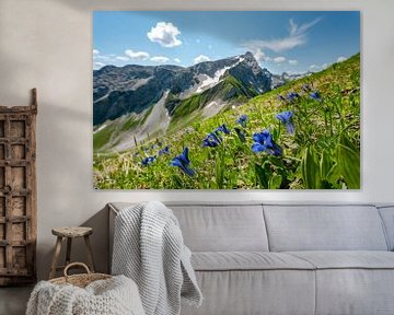 Gentian on the Großer Wilden in the Allgäu Alps by Leo Schindzielorz