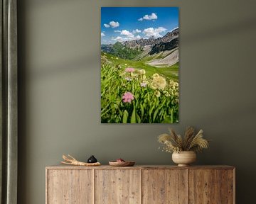 Vue fleurie sur la vallée de Hinterstein et le Hochvogel sur Leo Schindzielorz