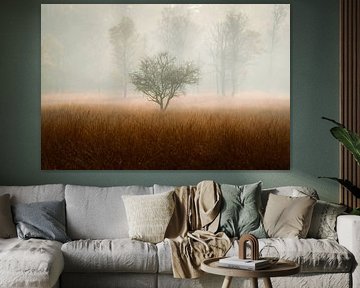 tree in the mist