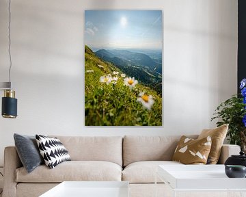 Schöner Sommer-Sonnentag am Hochgrat mit Blick auf den Bodensee von Leo Schindzielorz