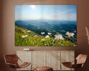 Schöner Sommer-Sonnentag am Hochgrat mit Blick auf den Bodensee von Leo Schindzielorz