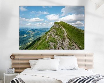 View of the Hochgrat in summer by Leo Schindzielorz