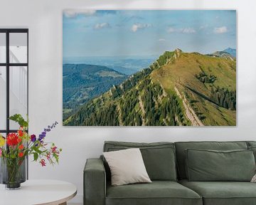 Nagelfluh-rots met uitzicht op het Allgäuer Alpenlandschap van Leo Schindzielorz