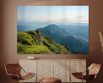 Hochgrat im Sommer mit Blick auf den Bodensee