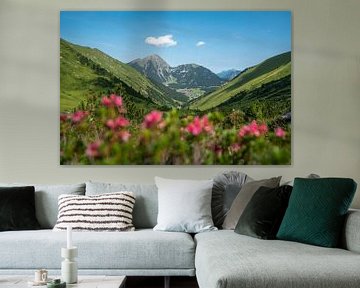 Panoramablick in den Tiroler Alpen u.a. auf den Thaneller und Berwang von Leo Schindzielorz