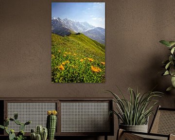 Berg und Gletscher in Georgien bei Ushguli von Leo Schindzielorz