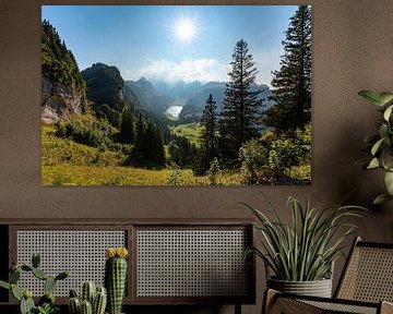 Seealpsee in de Appenzeller Alpen en het uitzicht op de Säntis van Leo Schindzielorz