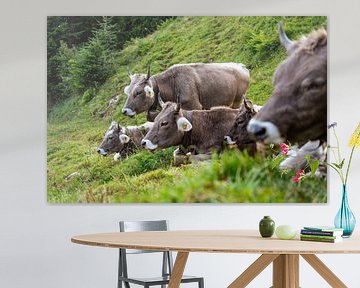 Zoete koe in de regio Appenzell van Leo Schindzielorz