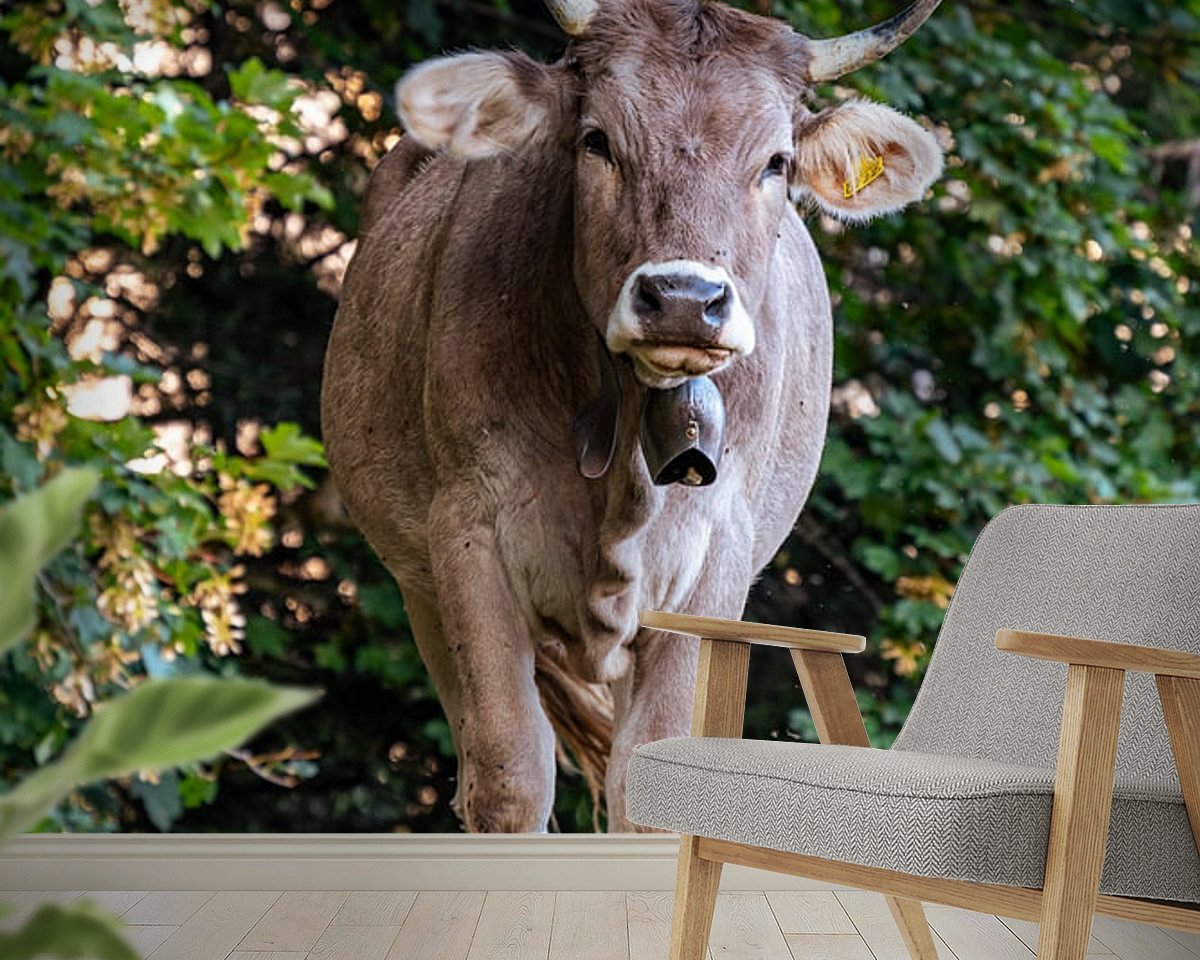 Raumvorschau