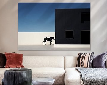 Elegant shadow play: Deep Black Horse in a White Dimension by Karina Brouwer