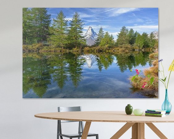 Aperçu de la chambre