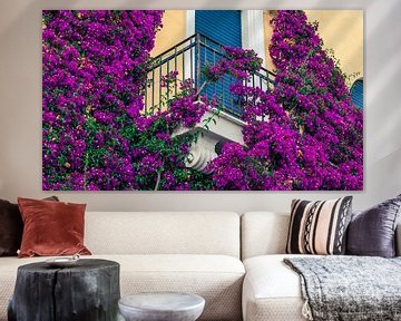 Die Farbsymphonie von Monterosso: Lila Blumen auf gelber Wand von AVP Stock