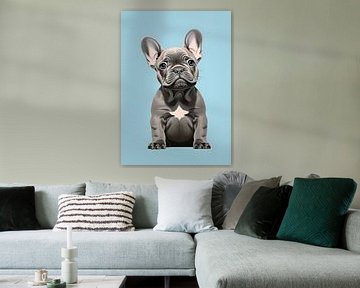 Gray french bulldog by haroulita