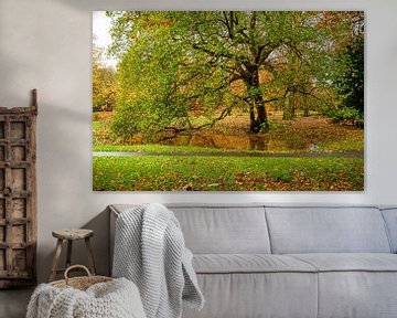 Old sycamore tree in The Park by Frans Blok