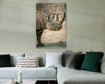 Black Rhinoceros by Saskia Strack