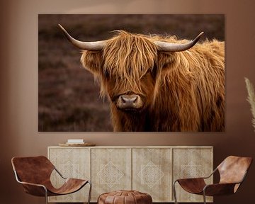 Scottish Highlander by Wim Westmaas