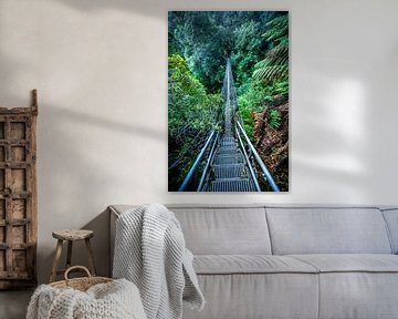 Suspension bridge in front of the Montezuma waterfalls by Patrick Schwarzbach